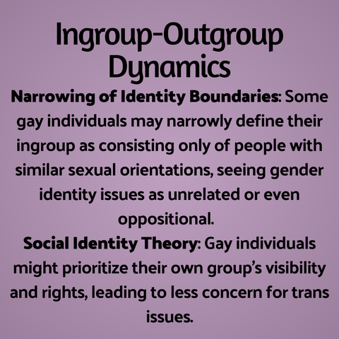 Ingroup-Outgroup Dynamics
Narrowing of Identity Boundaries: Some gay individuals may narrowly define their ingroup as consisting only of people with similar sexual orientations, seeing gender identity issues as unrelated or even oppositional.  
Social Identity Theory: Gay individuals might prioritize their own group's visibility and rights, leading to less concern for trans issues.