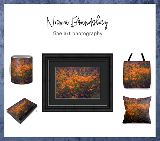 California Flower Super Bloom hillside orange poppies prints & more:

https://pixels.com/featured/poppy-super-bloom-norma-brandsberg.html

https://www.pictorem.com/2175678/California%20Poppy%20Super%20Bloom%20Flowers.html