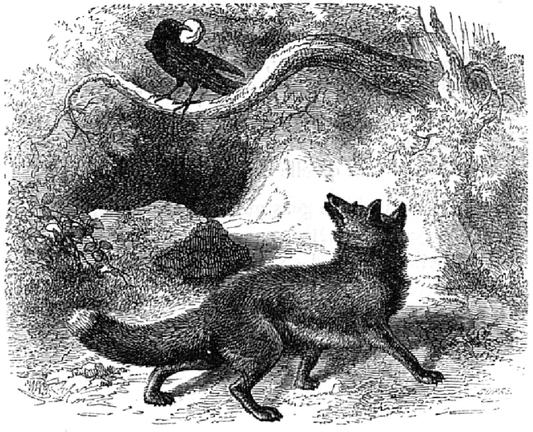 Illustration of a fox looking up at a crow in a tree holding a piece of cheese in its beak