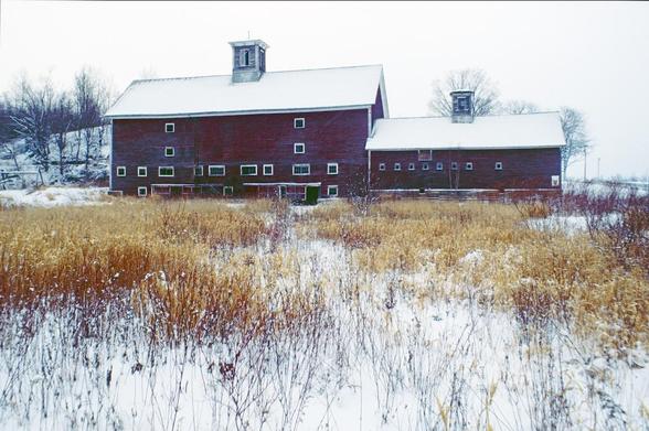 Two old red barns in a snowy field.