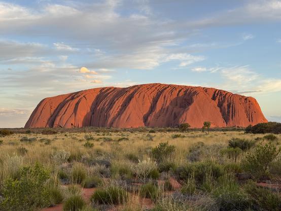 Uluru from far away during sunset at 05:45 AM. Blue sky with tiny white clouds. A green desert in front.