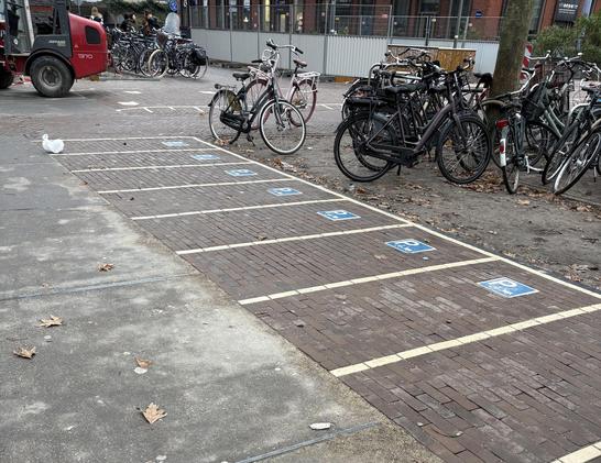 Stukje straat met 8 ruime parkeerplaatsen voor fietsen met een blauwe tegel met een P en een bakfiets erop. 