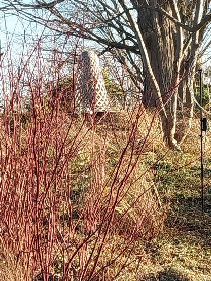 Untitled     
#MartinPuryear, American (b. 1941)     
Stainless steel, 1998     
Carnelian granite, 1998     
Lakeside Gardens     
A gift from Ernest P. Waud,