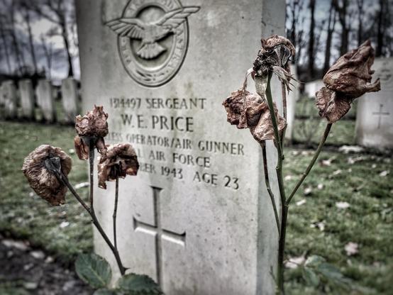 Ein sättigungsreduziertes Foto zeigt einige vertrocknete rote Rosen vor einem Grabstein eines im Zweiten Weltkrieg gefallenen Air Gunners namens W.E. Price der Royal Air Force. Im Hintergrund sind zahlreiche weitere Grabsteine zu sehen. 
