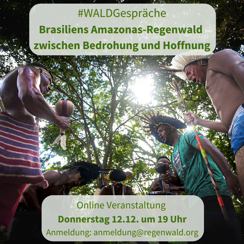 'WALDGespräche "Brasiliens Amazonas-Regenwald zwischen Bedrohung und Hoffnung" 
Online Veranstaltung, Donnerstag 12.12 um 19 Uhr , Anmeldung per mail: anmeldung@regenwald.org