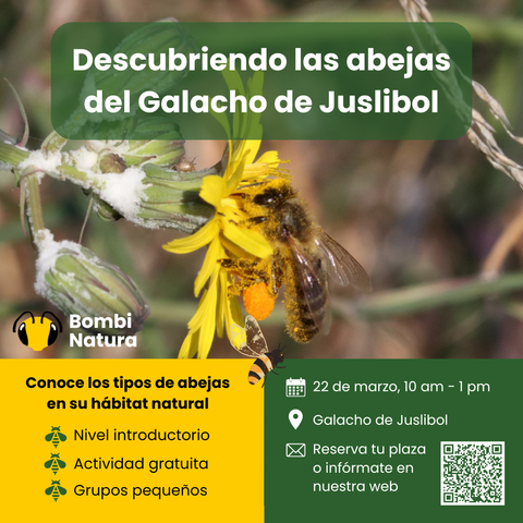 Póster del Taller Descubriendo las abejas del Galacho de Juslibol, que tendrá lugar el 22 de marzo en Zaragoza.