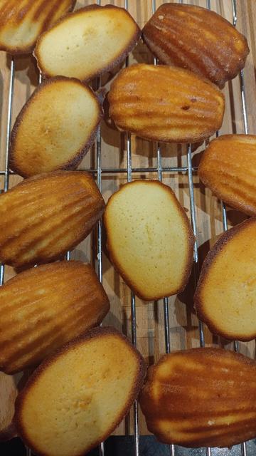 Schelpvormige cakejes op een rooster. 2e batch madeleines, wat donkerder, iets meer 'buik'.