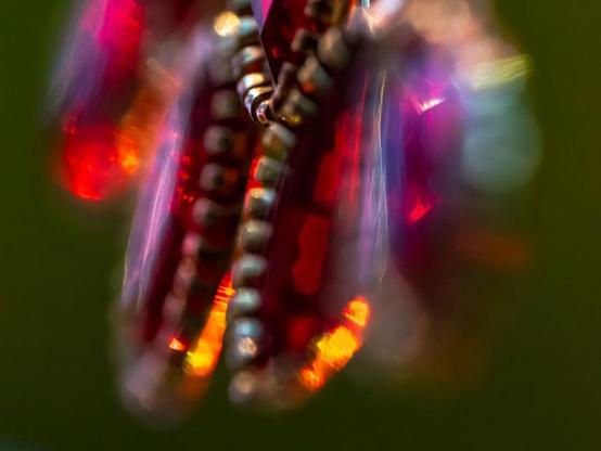 Blurry picture of Christmas ornament