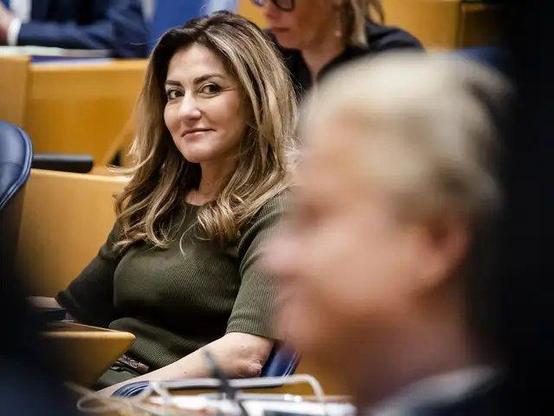 Dilan Yesilgoz kijkt vanuit haar bankje in de Tweede Kamer met een grijns en blik van verstandhouding naar Wilders.