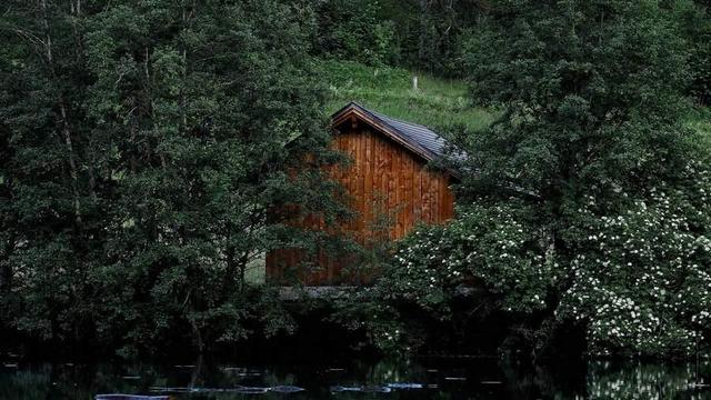 Cabin in a forest.
