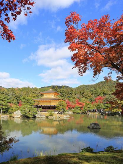 Autumn adds a splash of red to the gardens of Kinkaku-ji.