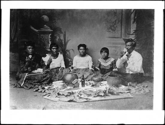 Five family members can be seen sitting on the floor of a studio. They all have poi on the fingers of their upraised hands. To the far left, a woman wearing a decorative dress is visible, on the far right, a man wearing a long-sleeved shirt and tie can be seen holding a glass to his lips. Between them, three young girls wearing
dresses are visible. They are sitting on leaves. Several pots, a bottle, and plates are sitting in front of them. There is a painted backdrop behind them.