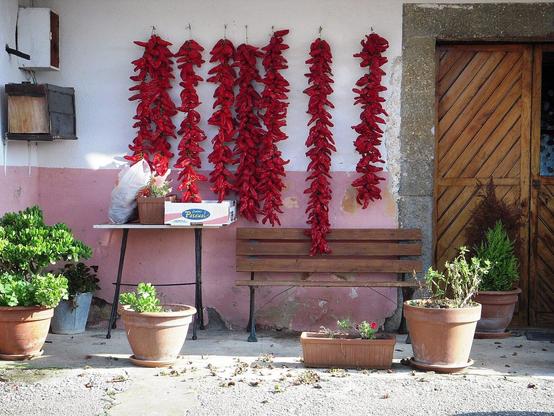 Multiple strings of red chili peppers hang to dry from a building exterior, with potted plants and a small table nearby.