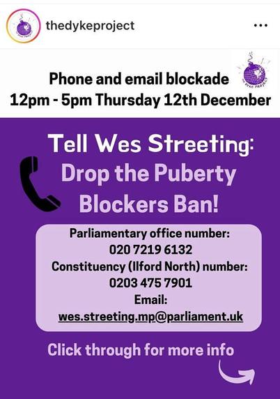 Screenshot of an Instagram post from @thedykeproject. It reads:
"Phone and email blockage 
12pm - 5pm Thursday 12 December 
Tell Wes Streeting: Drop the puberty blockers ban! 
Parliamentary office number: 020 7219 6131
Constituency (Ilford North) number: 0203 475 7901
Email: wes.streeting.mp@parliament.uk"