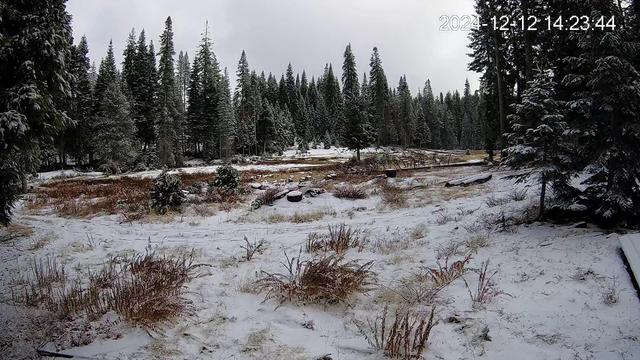A snowy meadow under a gray sky