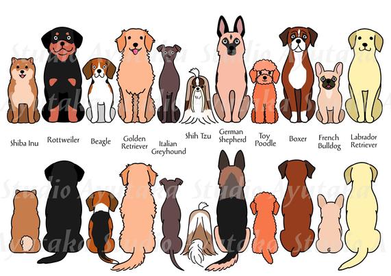 a set of cartoon dogs clipart, from front and from behind.