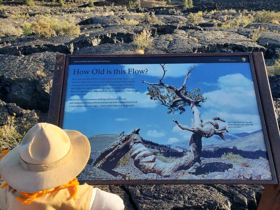 Ranger Sarah learns that the triple twisted had a core sample taken from it which showed it to be at least 1,350 years.
— at Craters of the Moon NPS.
