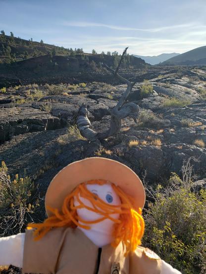 Ranger Sarah with the 1350 year old triple twist tree. The lava field it grew up in is 2000 years old.
— at Craters of the Moon NPS.
