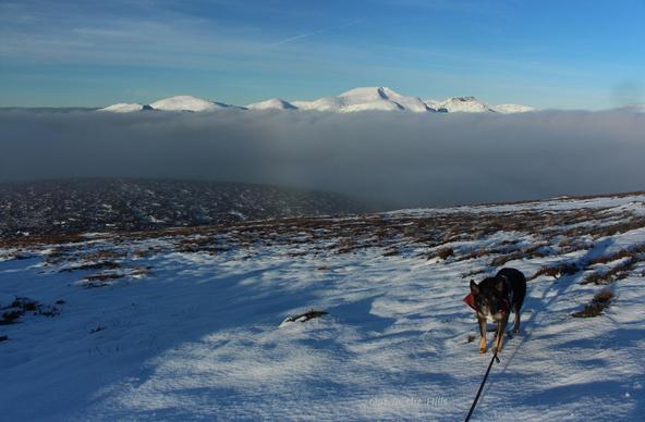 Looking across a sloping hillside, it is partly covered in snow. There are snow covered hills in the background, above a layer of cloud which fills the valley. Blue sky with wispy clouds.  Moray the dog is stood to one side.