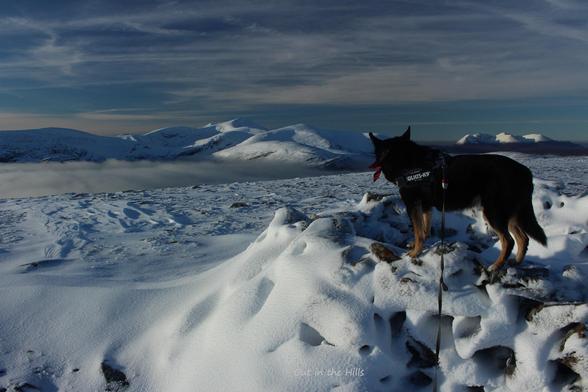 At a hgill top, snow covered uneven ground and a snow covered summit cairn. There are snow covered hills in the distance above a layer of cloud. Moray the dog is stood looking at the view.