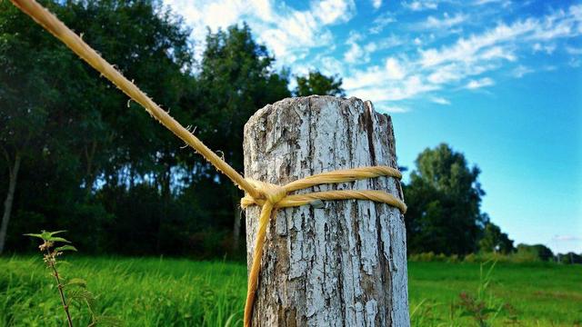 Post with rope.