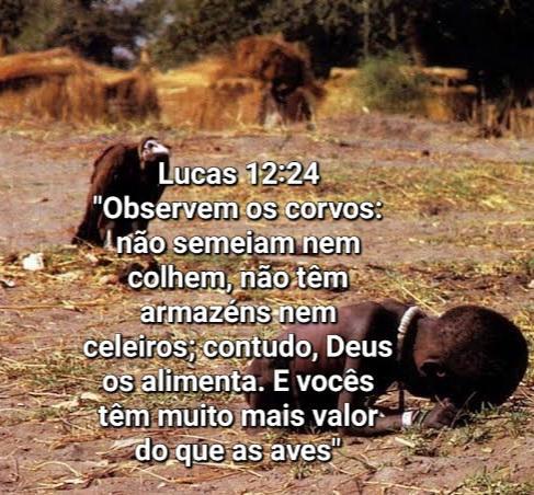 Diferente da Expectativa que a bíblia nos dar, é impressionante como na Realidade é totalmente ao contrário. Foto tirada em 1993 pelo fotógrafo Kevin Carter retrata a tragédia da fome no Sudão. A menina desnutrida, curvada ao chão, simboliza a luta pela sobrevivência em meio à miséria, enquanto o abutre ao fundo espera pela morte iminente, um retrato cruel das desigualdades humanas. Não sabemos qual foi o destino dela, mas imagine quantas outras não morreram e serviram de alimento aos abutres.