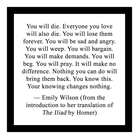 You will die. Everyone you love will also die. You will lose them forever. You will be sad and angry. You will weep. You will bargain. You will make demands. You will beg. You will pray. It will make no difference. Nothing you can do will bring them back. You know this. Your knowing changes nothing.
 
— Emily Wilson (from the
introduction to her translation of The Iliad by Homer)