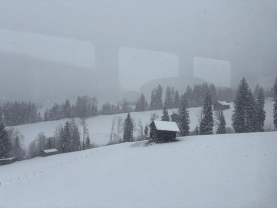 Blick aus dem Zug. Es schneit.