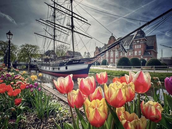 Ein buntes Tulpenbeet im Vordergrund wird eingerahmt durch ein altes zweimastiges Segelschiff, das in einem Kanal liegt. Hinter dem Kanal ist ein pittoreskes großes Rathaus-Gebäude mit Türmchen und weißen Fenstern aus rotem Backstein zu sehen. 