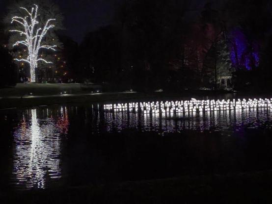 Tree lights and luminaria reflected in lake