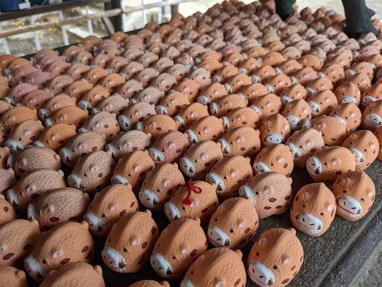 An army of boar omikuji holders at Zenkyo-an. The fortunes have been read and the holders left behind as a prayer that good fortunes come true and bad fortunes are extinguished.