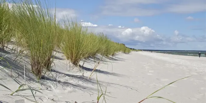 🏖️ Prerow Strand – Paradies an der Ostsee!