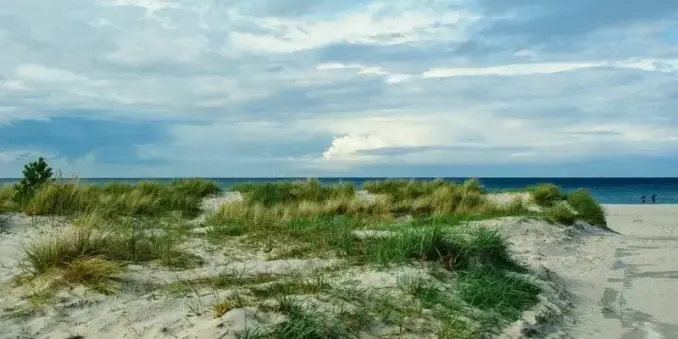 🏖️ Prerow Strand – Paradies an der Ostsee!