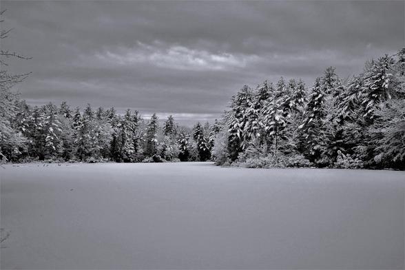 After the Storm Black and White

There was a heavy snow fall over night and I knew it would make for some great photos. Although the forecast called for clouds all day, I wanted to get out while the wet snow was still stuck to everything. This is cider mill pond in North Berwick, Maine. A quiet little pond made even quieter with the fresh snow.