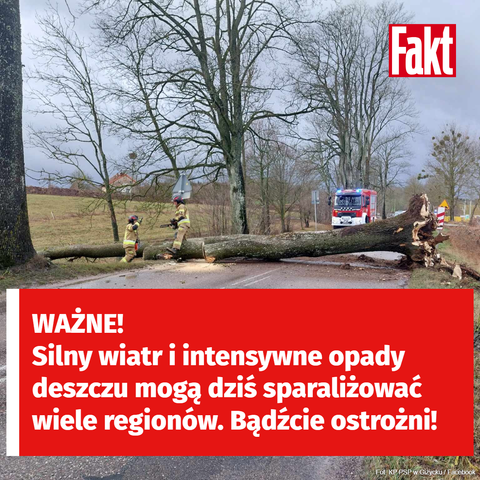 Pogoda na dziś