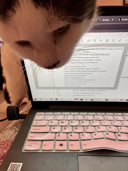 A close-up of a cat's face hovering over a laptop keyboard displaying a document with various text entries. The laptop has a pink keyboard cover, and a portion of a bed or couch is visible in the background.