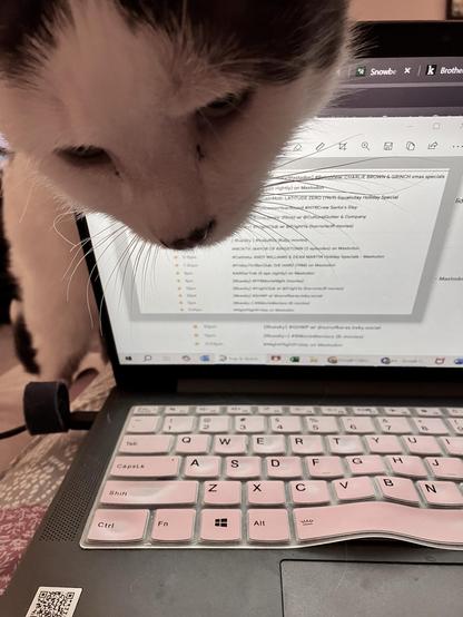 A curious cat's face is shown hanging over a laptop screen displaying a list of scheduled events or programs. The laptop features a pink keyboard cover, and the cat appears to be inspecting the screen closely.
