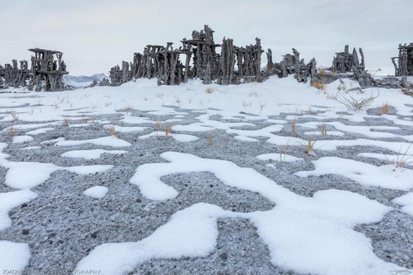 Mono Lake tufa in the snow. The melting patches of snow draw organic shapes on the gray sand, and the tufa towers rise out in the distance.