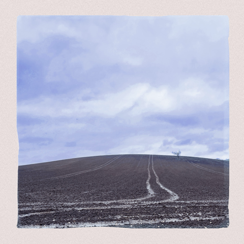 a single tree on a hill, in a freshly ploughed and very muddy field. 