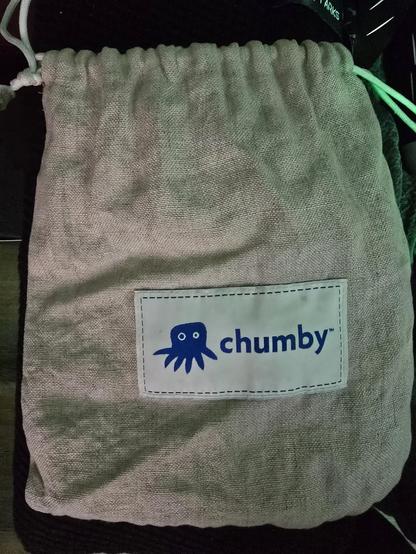 Bag for Chumby smart alarm clock.