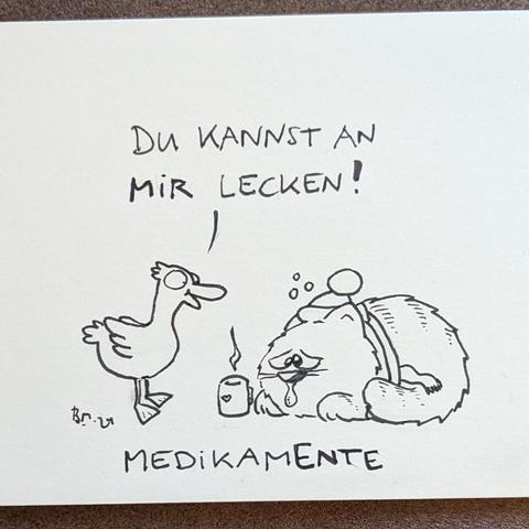 Eine Katze liegt krank und verschnupfter Nase herum

Eine Ente sagt: Du kannst an mir lecken. 

Untertitel: MedikamEnte