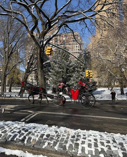 A festive Hansom cab on a snowy park drive west in Central Park. 