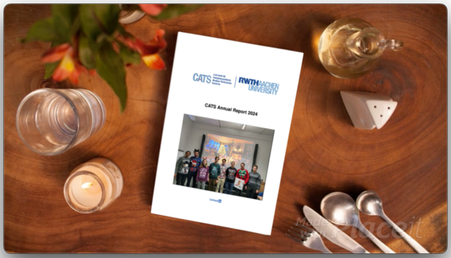 Sort of a fake image showing CATS annual report 2024 among holiday decorations.