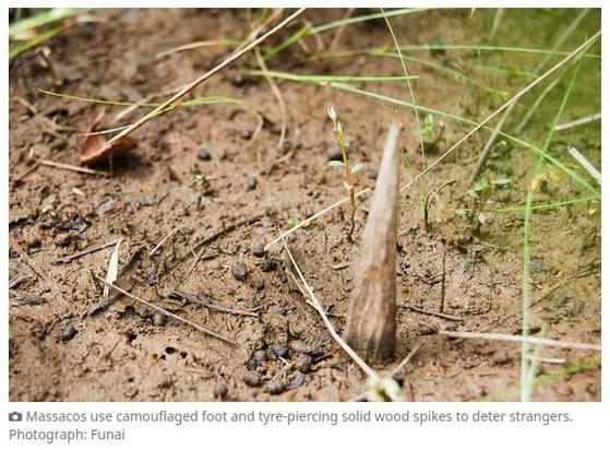 Foot and tyre-piercing spikes used to deter strangers