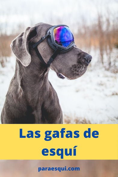 Gafas de esquí