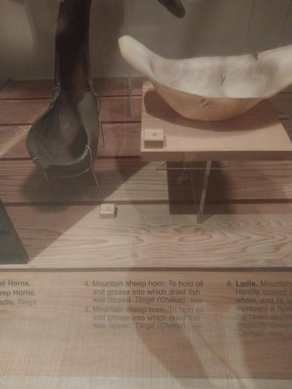 Mountain sheep hon. To hold oil and grease into which dried fish was dipped. #Tlingit (#Chilkat)