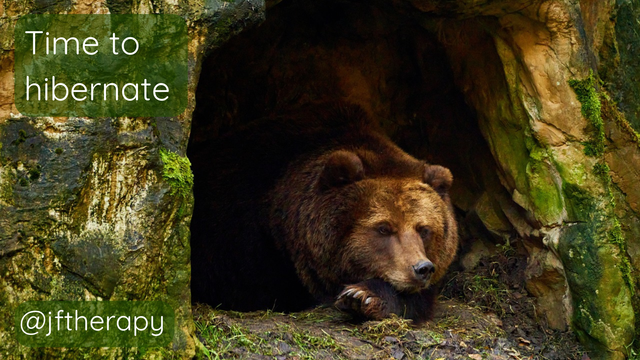 An image of a brown bear lying down in a cave with the words 'Time to hibernate' above the bear and the tag @jftherapy below the bear