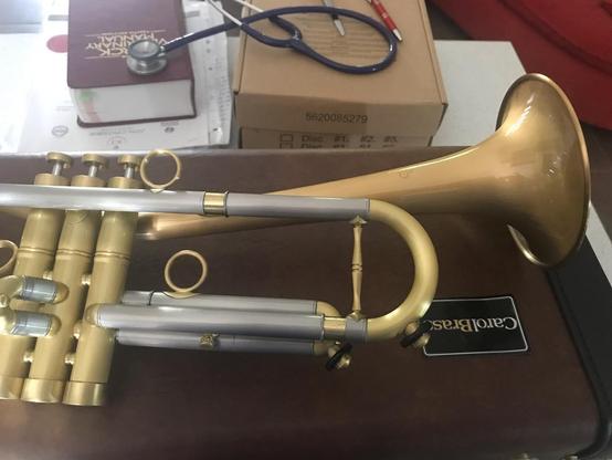 In the hushed sanctuary of what appears to be a healer's chamber, but is in fact my kitchen bench (during a stuttered spring clean) a trumpet rests in noble repose, its burnished gold form catching the light like a fallen star. The instrument, crafted in brass and silver, tells tales of music yet unplayed - its valves standing ready like sentinels, its bell curved gracefully upwards as a royal herald's call. 


Behind it lie the tools of a modern veterinary worker - a stethoscope of deepest purple coiled like a sleeping serpent, and manuscripts of healing bound in leather and cardboard (Merck’s Veterinary manual in a red cover and golden writing atop a pile of manuscripts and articles ranging from antimicrobial resistance, to autism/ADHD and educational papers on executive function). 


The juxtaposition speaks of worlds bridged - the ancient art of music lying comfortably alongside the science of healing, education and learning, each waiting for their moment to bring comfort or joy to those who seek them. 


The trumpet's baroque beauty commands attention, its presence both an instrument of art and a vessel of potential stories, each note waiting to be born into the world. Yes even a C# on a Bb trumpet!