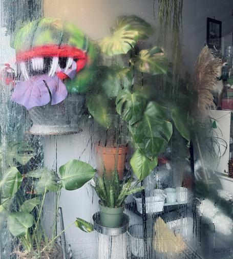A Little Shop Of Horrors display in a plant shop/florist in Newport.