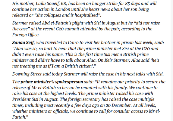 His mother, Laila Soueif, 68, has been on hunger strike for 85 days and will 
 continue her action in London until she hears news about her son being 
 released or "she collapses and is hospitalised". 
 Starmer raised Abd el-Fattah's plight with Sisi in August but he "did not raise 
 the case" at the recent G20 summit attended by the pair, according to the 
 Foreign Office. 
 Sanaa Seif, who travelled to Cairo to visit her brother in prison last week, said: 
 "Alaa was so, so hurt to hear that the prime minister met Sisi at the G20 and 
 didn't even raise his name. This is the first time Sisi met a British prime 
 minister and didn't have to talk about Alaa. On Keir Starmer, Alaa said 'he's 
 not treating me as if I am a British citizen'." 
 Downing Street said today Starmer will raise the case in his next talks with Sisi. 
 The prime minister's spokesperson said: "It remains our priority to secure the 
 release of Mr el-Fattah so he can be reunited with his family. We continue to 
 raise his case at the highest levels. The prime minister raised his case with 
 President Sisi in August. The foreign secretary has raised the case multiple 
 times, including most recently a few days ago on 20 December. At all levels, 
 whether ministers or officials, we continue to call for consular access to Mr el- 
 Fattah."
